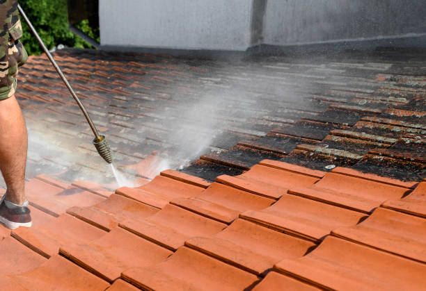 Best Garage Pressure Washing  in Mount Ora, OH